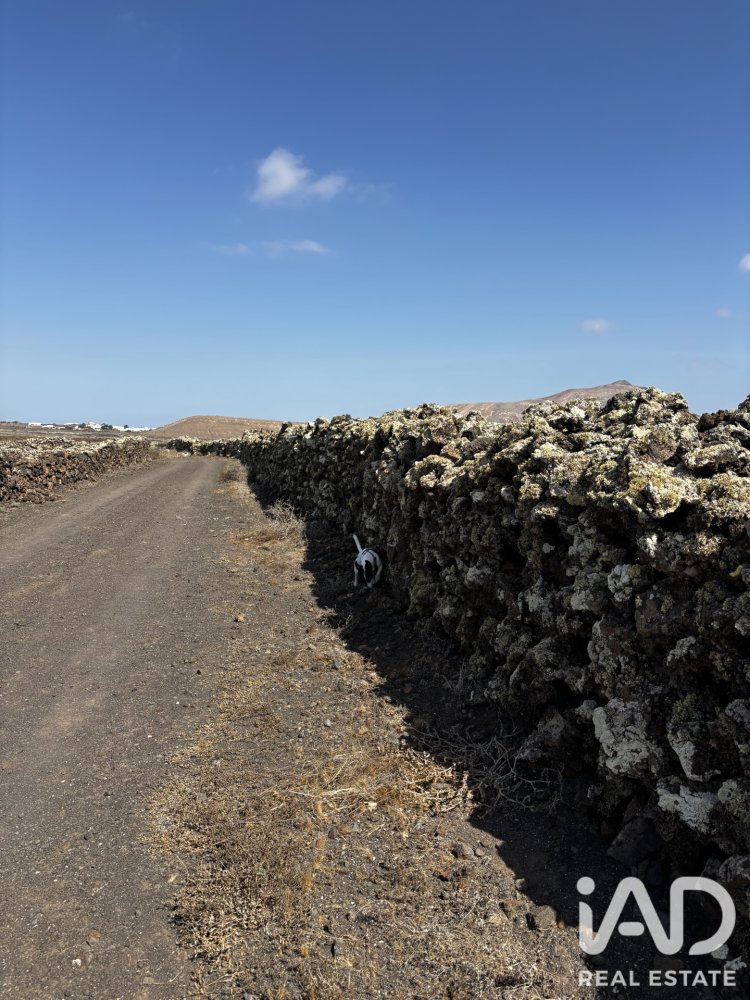 Land plot in La Oliva, Fuerteventura, Spain 4000 sq.m. No. 199517