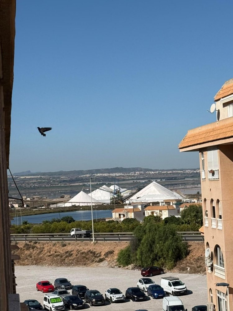 Apartment à Torrevieja, Alicante, Espagne 2 chambres, 58 m2 No. 197896