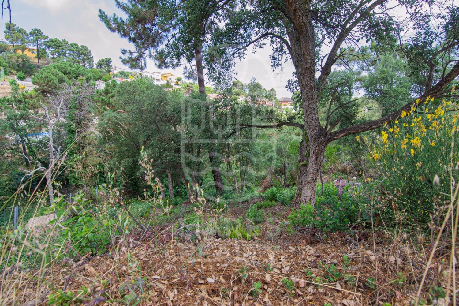 Land in Lloret de Mar, Girona, Spanien 800 m2 Nr. 184497