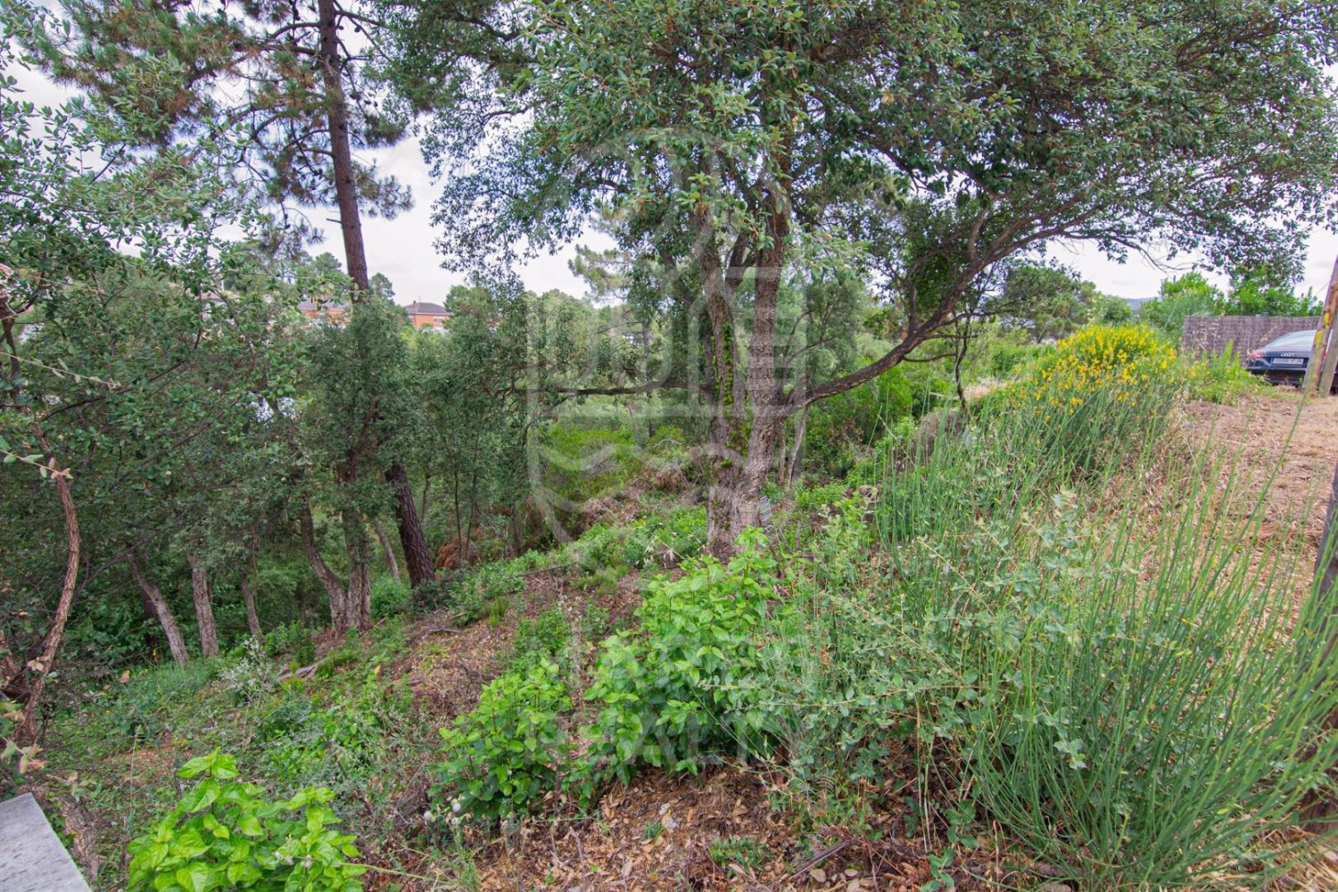 Land in Lloret de Mar, Girona, Spanien 800 m2 Nr. 184497