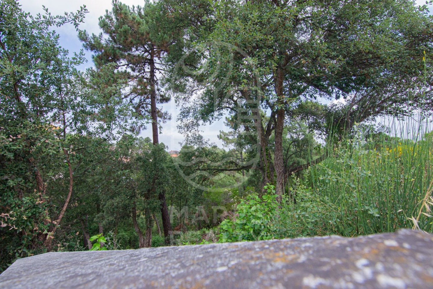 Land in Lloret de Mar, Girona, Spanien 800 m2 Nr. 184497