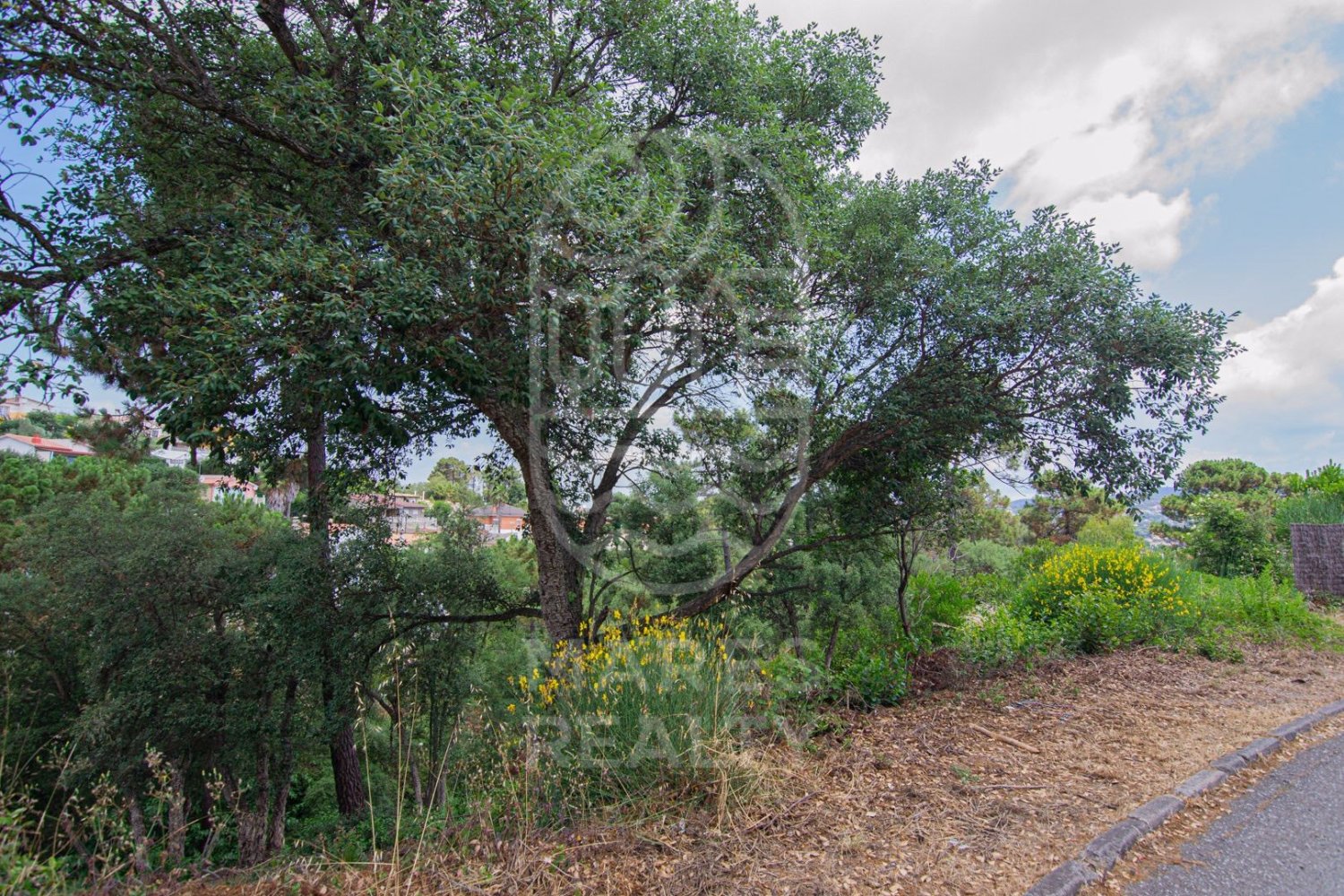 Land in Lloret de Mar, Girona, Spanien 800 m2 Nr. 184497