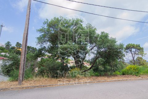 Land in Lloret de Mar, Girona, Spanien 800 m2 Nr. 184497
