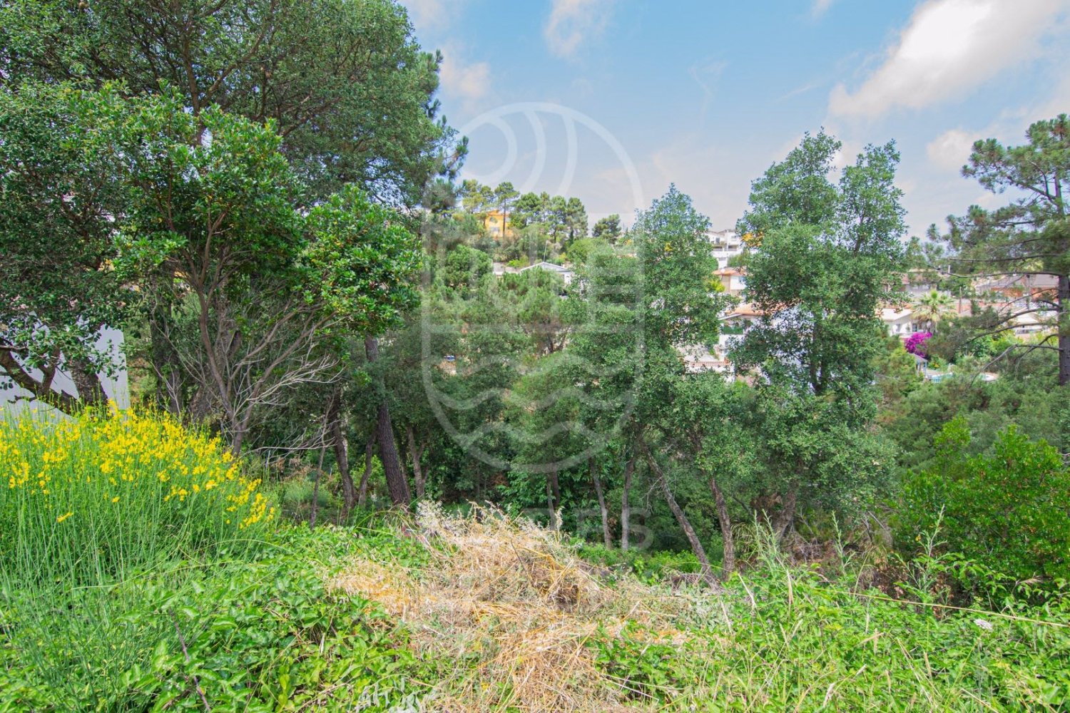 Land in Lloret de Mar, Girona, Spanien 800 m2 Nr. 184497