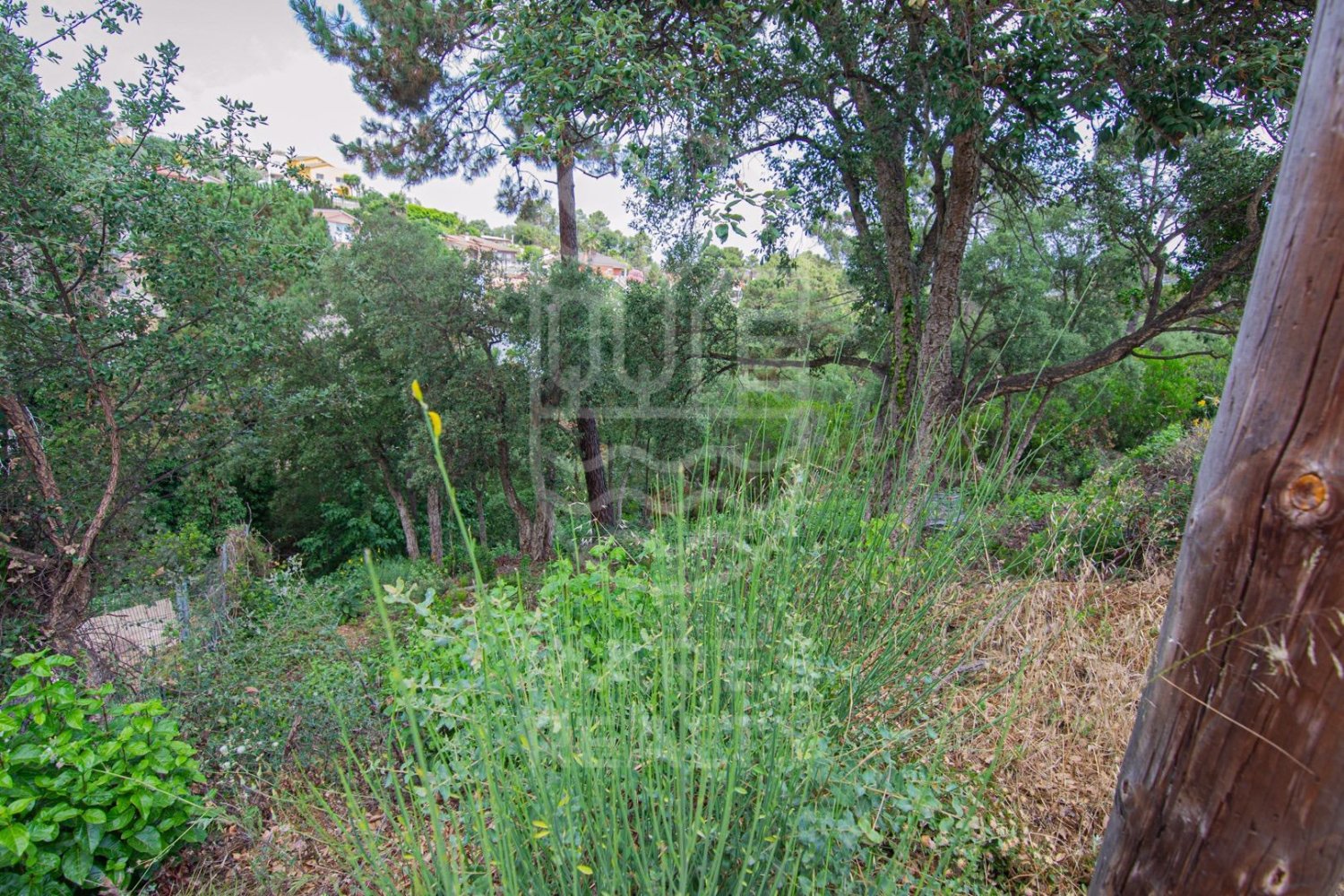 Land in Lloret de Mar, Girona, Spanien 800 m2 Nr. 184497