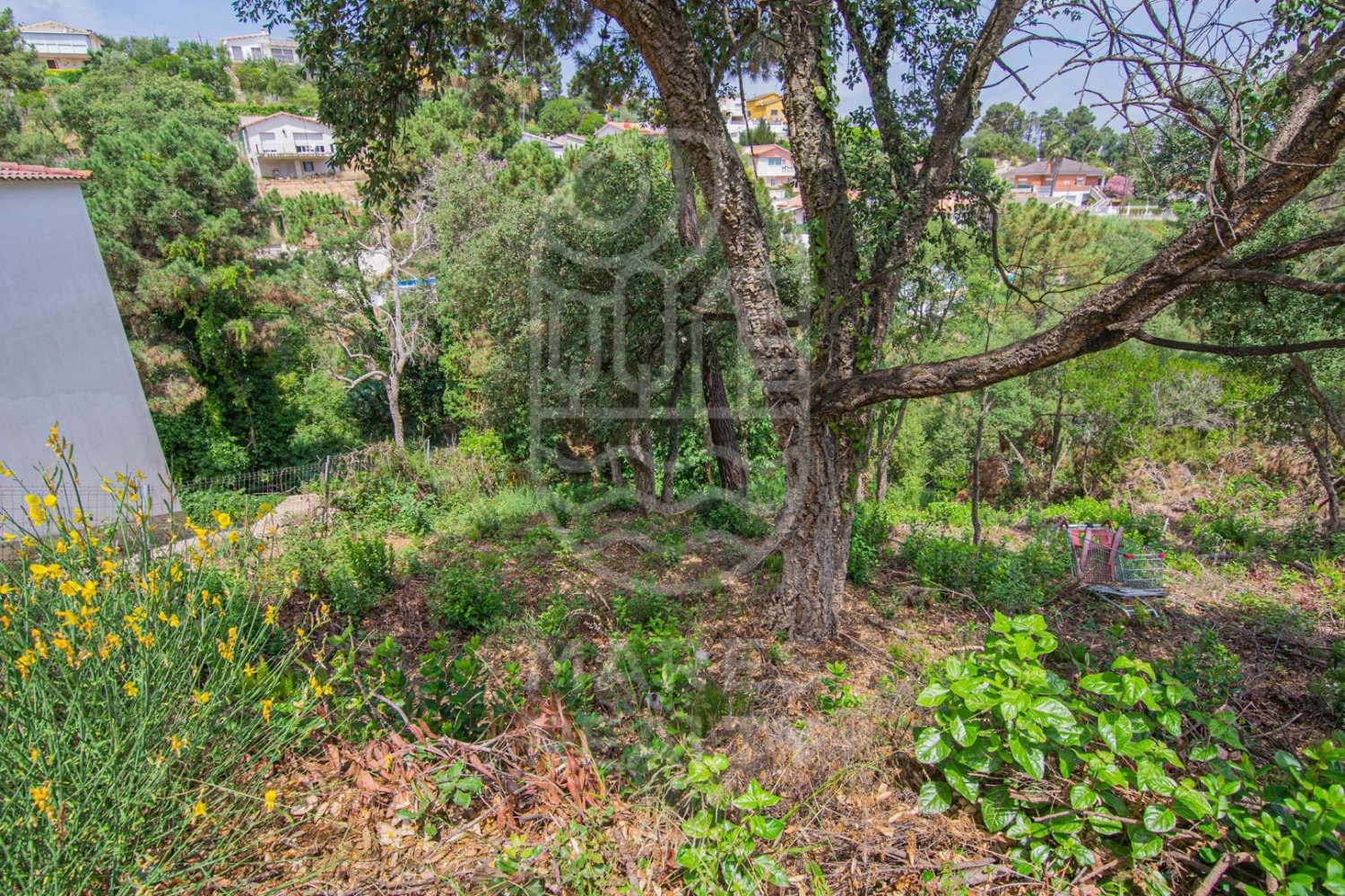 Land in Lloret de Mar, Girona, Spanien 800 m2 Nr. 184497