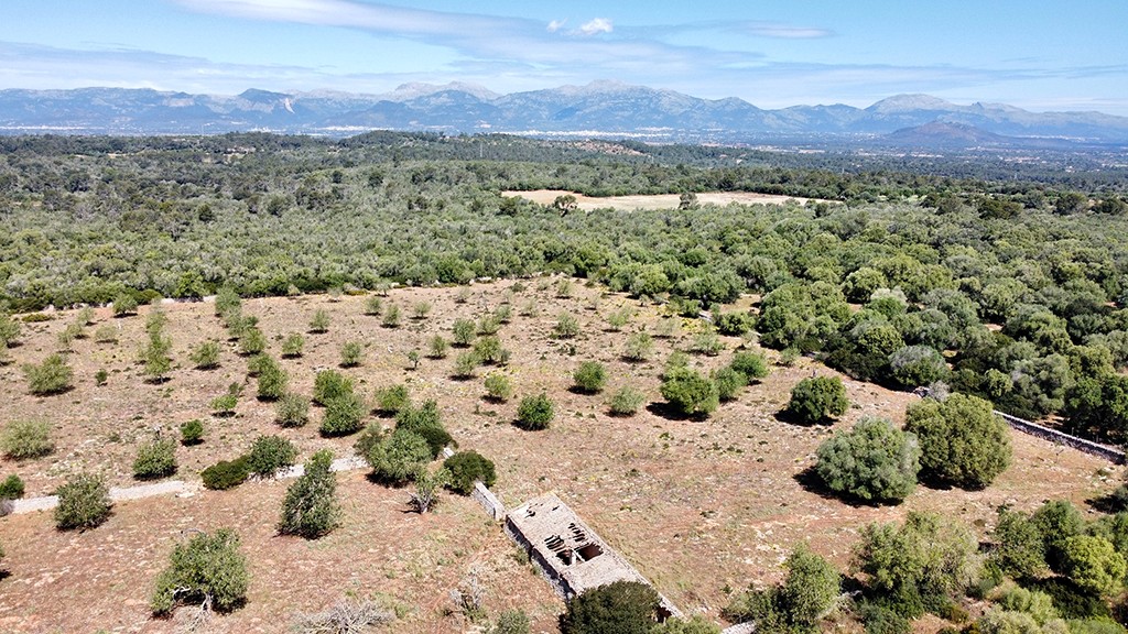 Villa en Sineu, Mallorca, España 7 dormitorios,  No. 198817