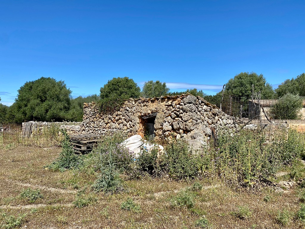 Villa en Sineu, Mallorca, España 7 dormitorios,  No. 198817