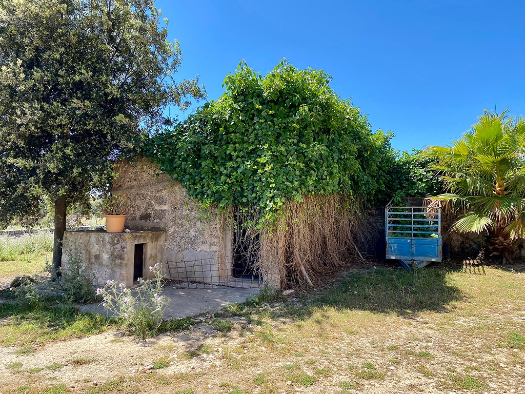 Villa en Sineu, Mallorca, España 7 dormitorios,  No. 198817