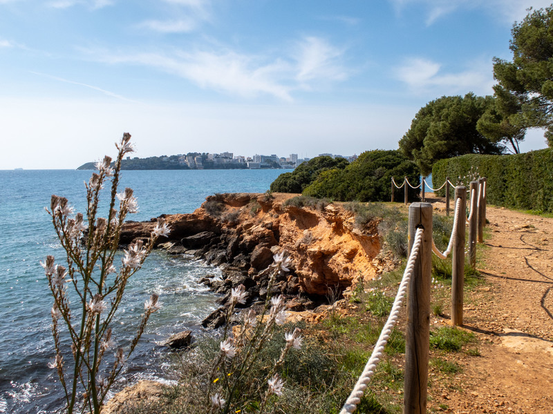 Apartment in Portals Nous, Mallorca, Spain 1 bedroom, 151 sq.m. No. 155754