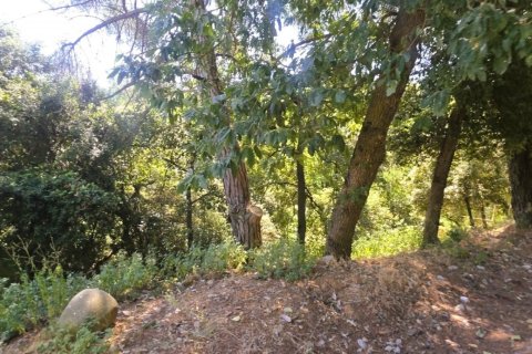 Zemes gabals Sant Cugat Del Valles, Barcelona, Spānijā 1146 m2 Nr. 197787