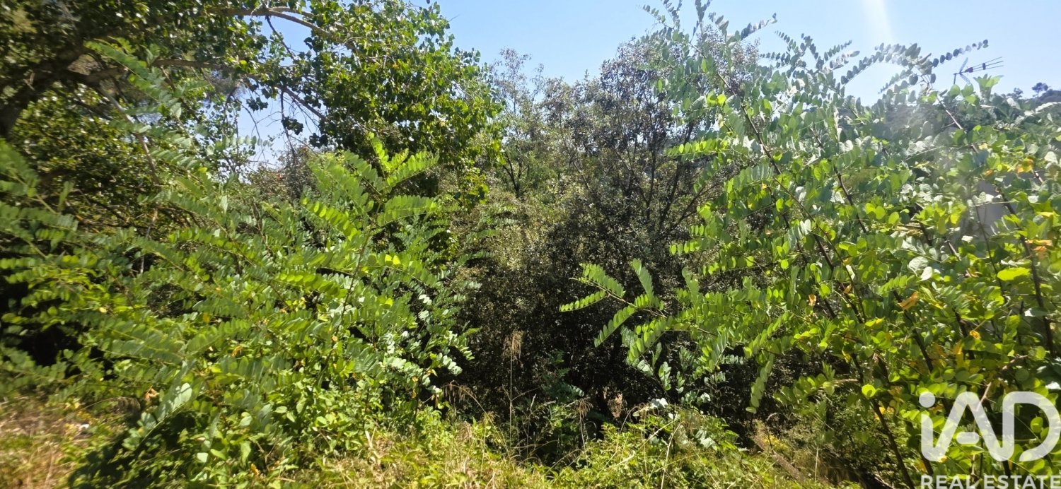 Zemes gabals Sant Cugat Del Valles, Barcelona, Spānijā 1146 m2 Nr. 197787