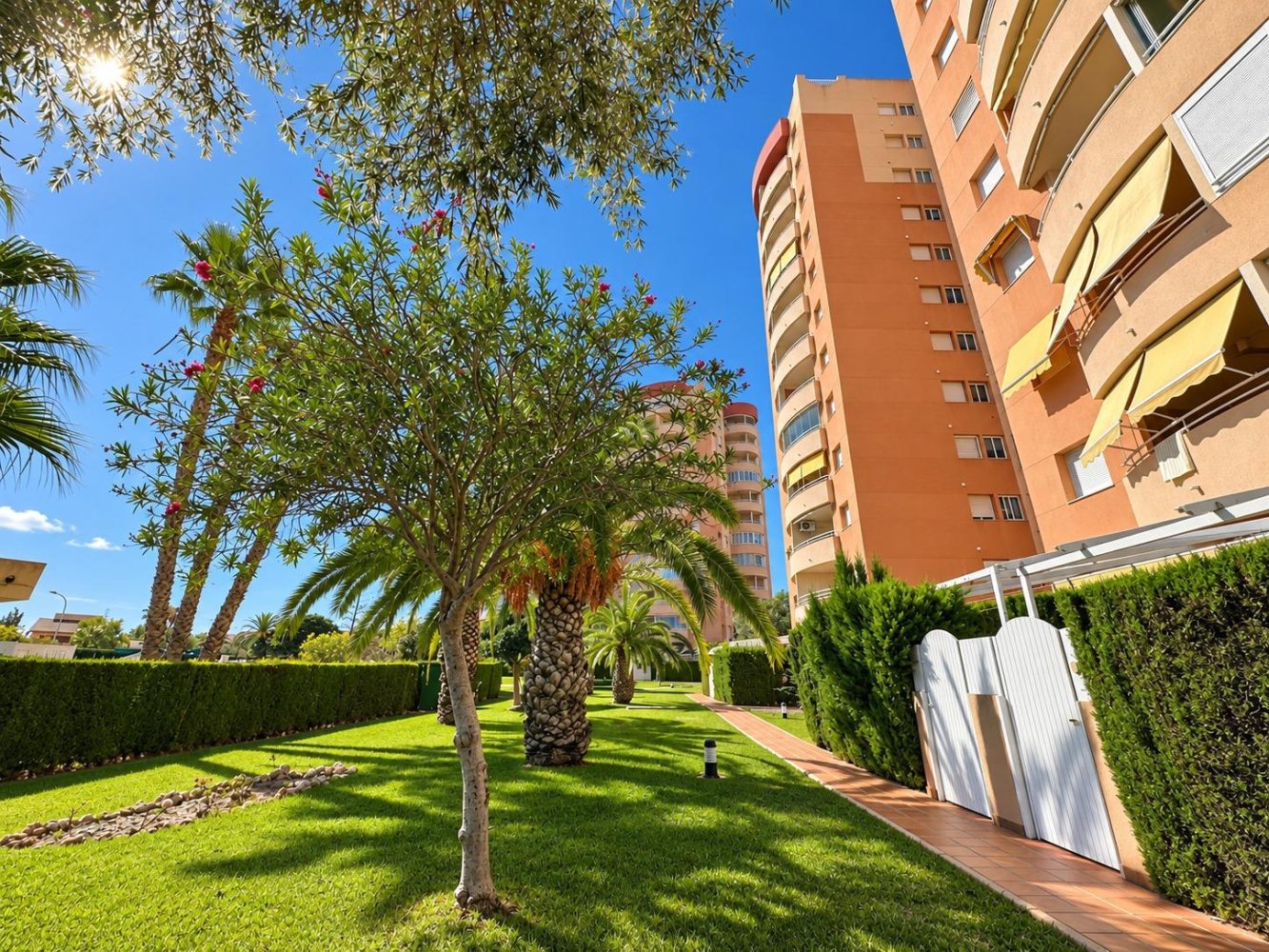Apartament w Dehesa De Campoamor, Alicante, Hiszpania 2 sypialnie, 81 mkw. nr 197477