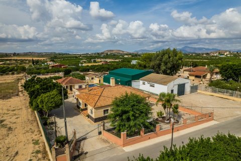 Huvila Orihuela, Alicante, Espanja 7 makuuhuonetta, 505 m2 No. 198036