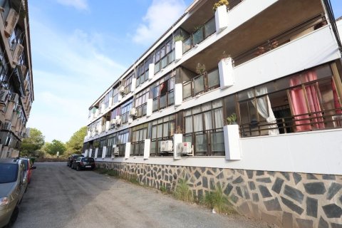 Apartamento en Torrevieja, Alicante, España 24 m2 No. 198756