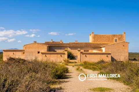 Finca Petra, Mallorca, Spānijā 6 istabas, 591 m2 Nr. 198183