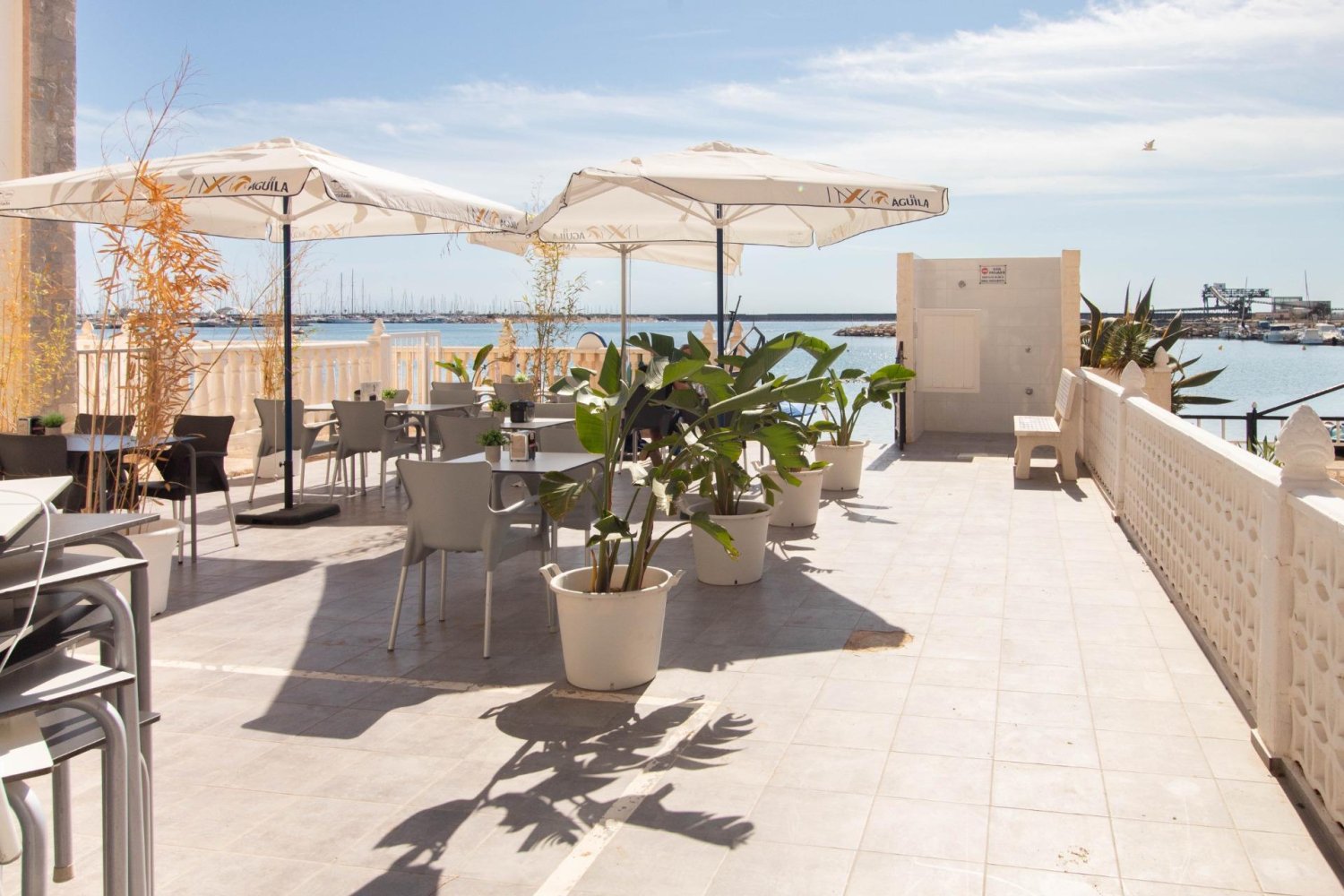 Apartament w Torrevieja, Alicante, Hiszpania 73 mkw. nr 198114