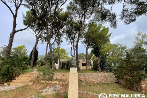 Finca en Son Caliu, Mallorca, España 2 dormitorios, 86 m2 No. 198188