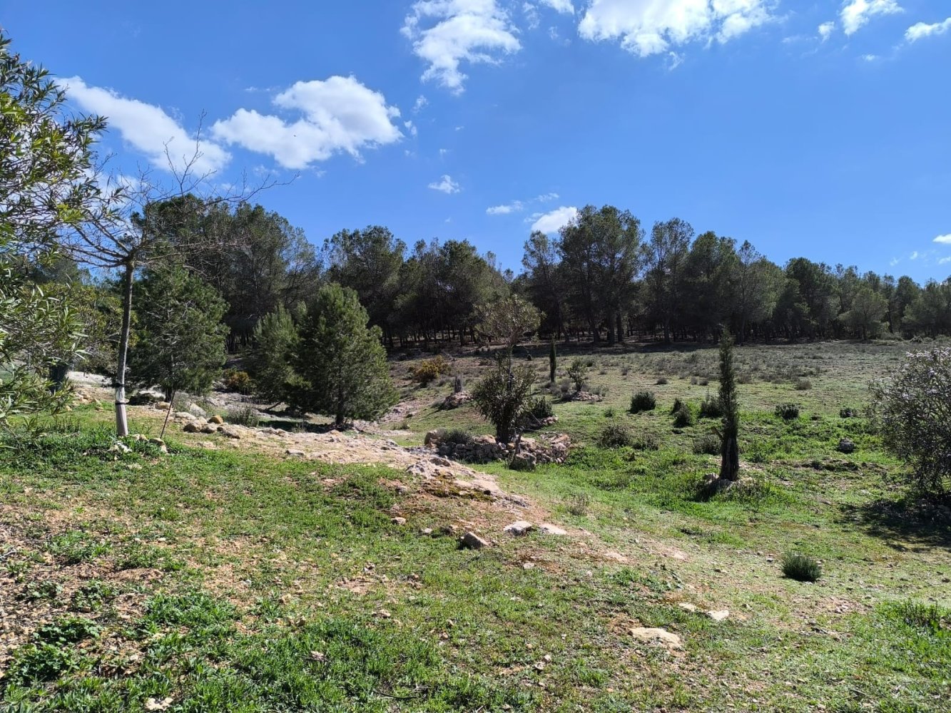 Finca in Villena, Alicante, Spanien 4 Schlafzimmer, 588 m2 Nr. 198960