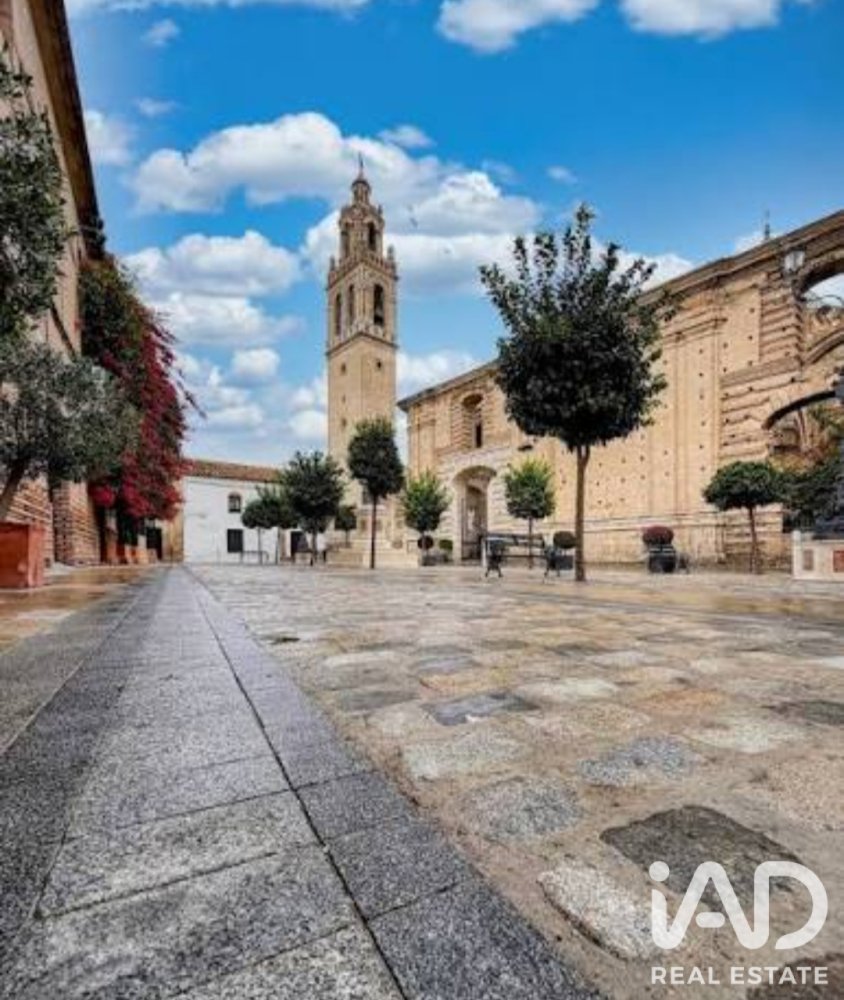 Māja Ecija, Seville, Spānijā 6 istabas, 466 m2 Nr. 197772