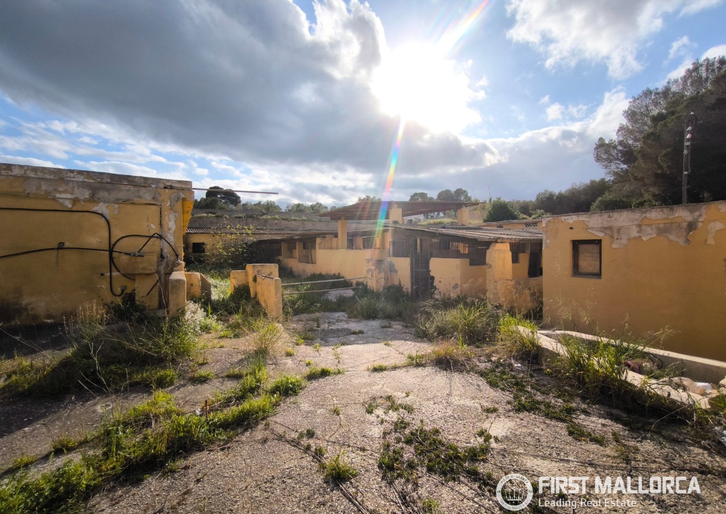 Liikekiinteistö Palma de Majorca, Mallorca, Espanja 1235 m2 No. 197159