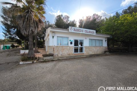 Commercial property in Palma de Majorca, Mallorca, Spain 1235 sq.m. No. 197159