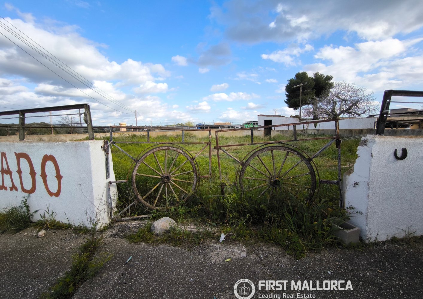 Liikekiinteistö Palma de Majorca, Mallorca, Espanja 1235 m2 No. 197159