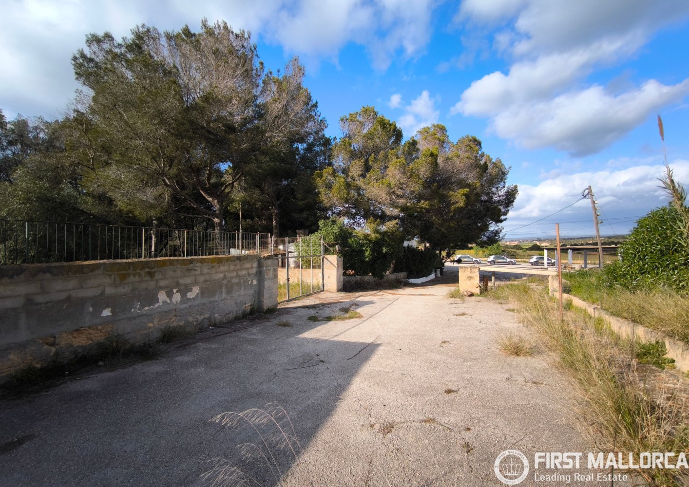 Liikekiinteistö Palma de Majorca, Mallorca, Espanja 1235 m2 No. 197159