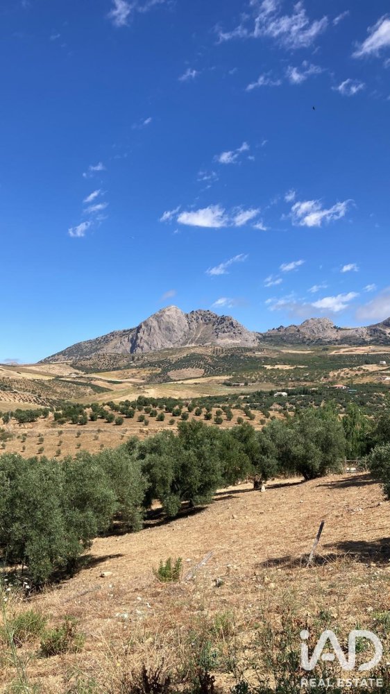 Land in Colmenar, Malaga, Spanien 1713 m2 Nr. 199514