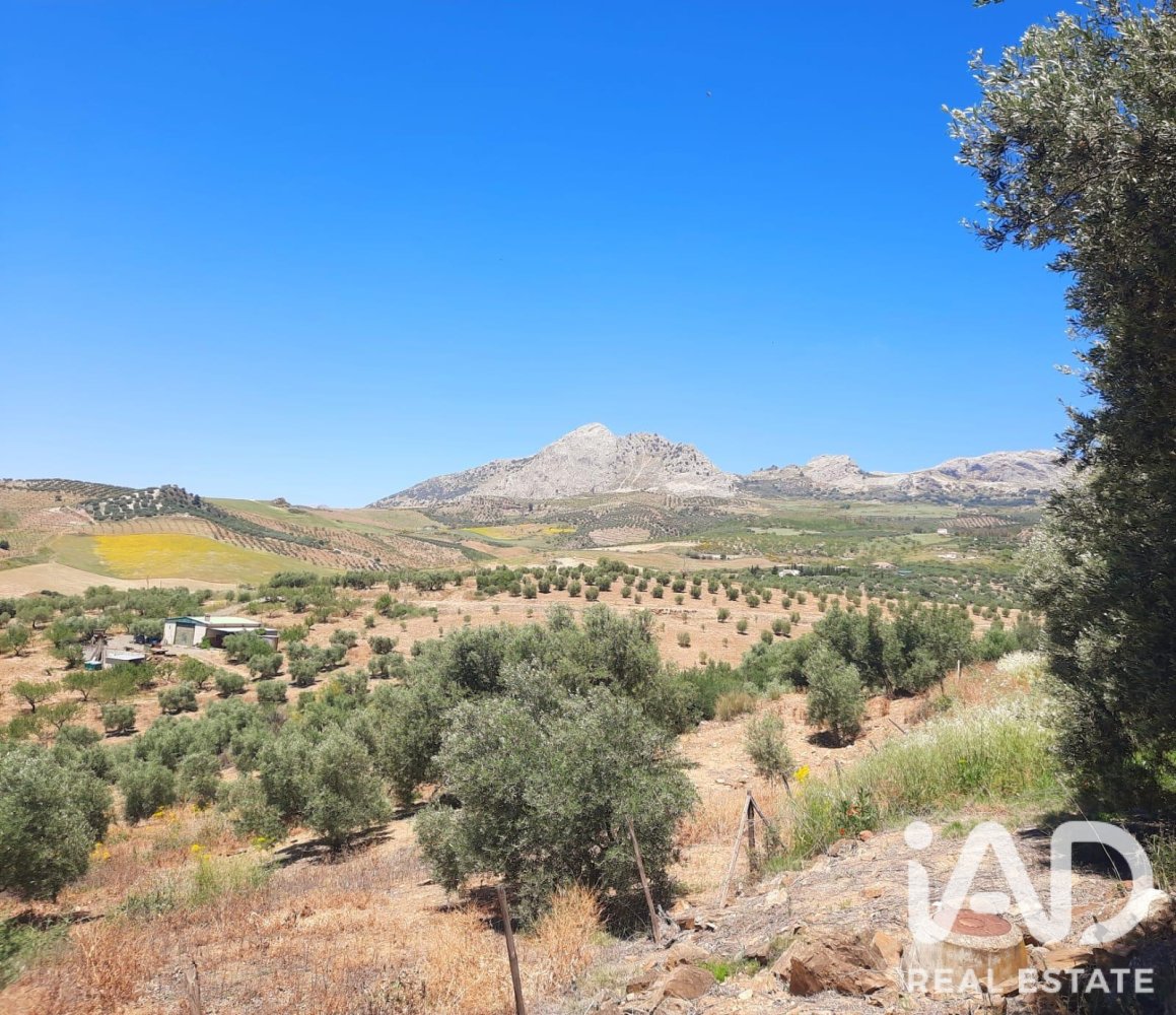 Land in Colmenar, Malaga, Spanien 1713 m2 Nr. 199514