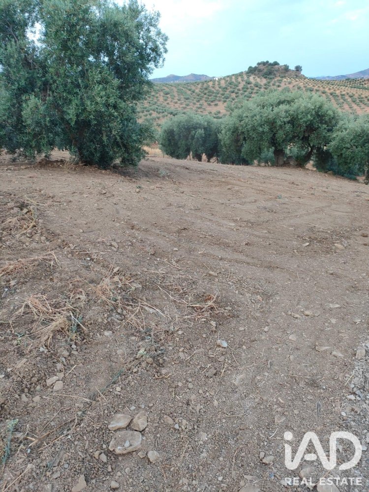 Land in Colmenar, Malaga, Spanien 1713 m2 Nr. 199514