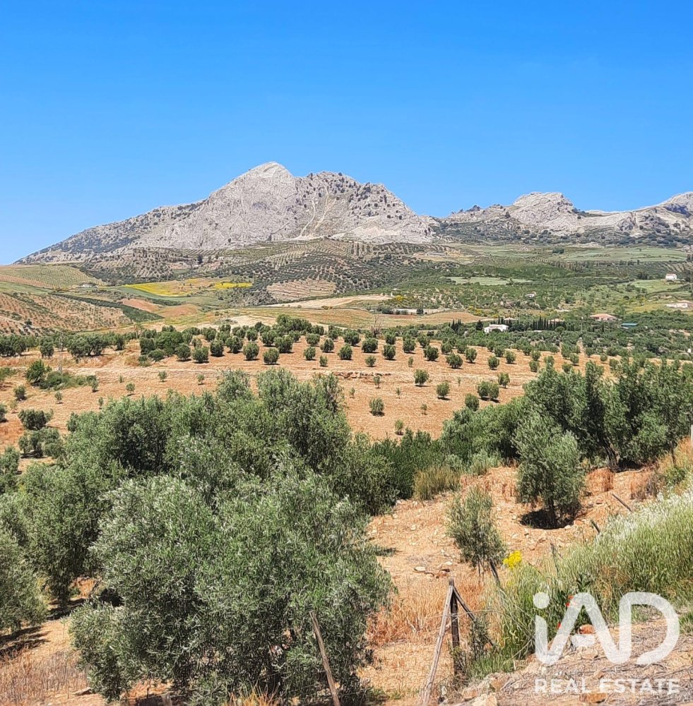 Land in Colmenar, Malaga, Spanien 1713 m2 Nr. 199514