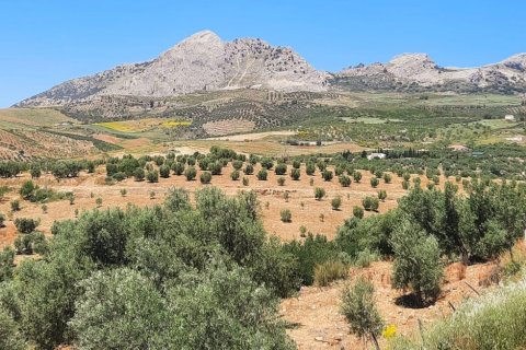 Land in Colmenar, Malaga, Spanien 1713 m2 Nr. 199514