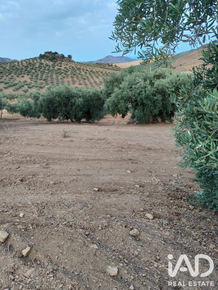 Land in Colmenar, Malaga, Spanien 1713 m2 Nr. 199514