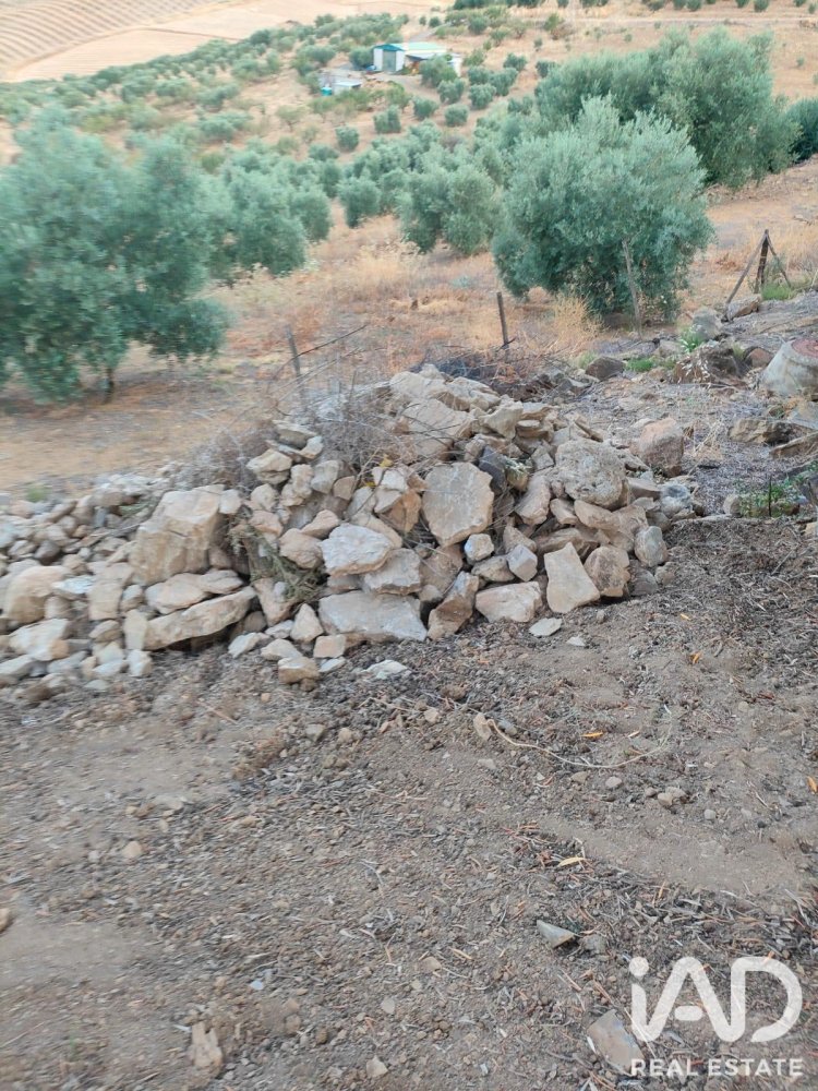 Land in Colmenar, Malaga, Spanien 1713 m2 Nr. 199514