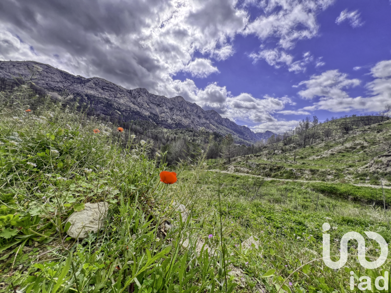 Zemes gabals Tarbena, Alicante, Spānijā 41000 m2 Nr. 185948