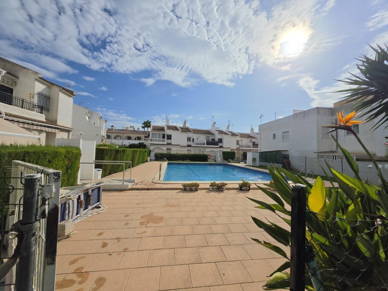 Bungalow a Torrevieja, Alicante, Spagna 1 camera da letto, 65 mq. N° 198158