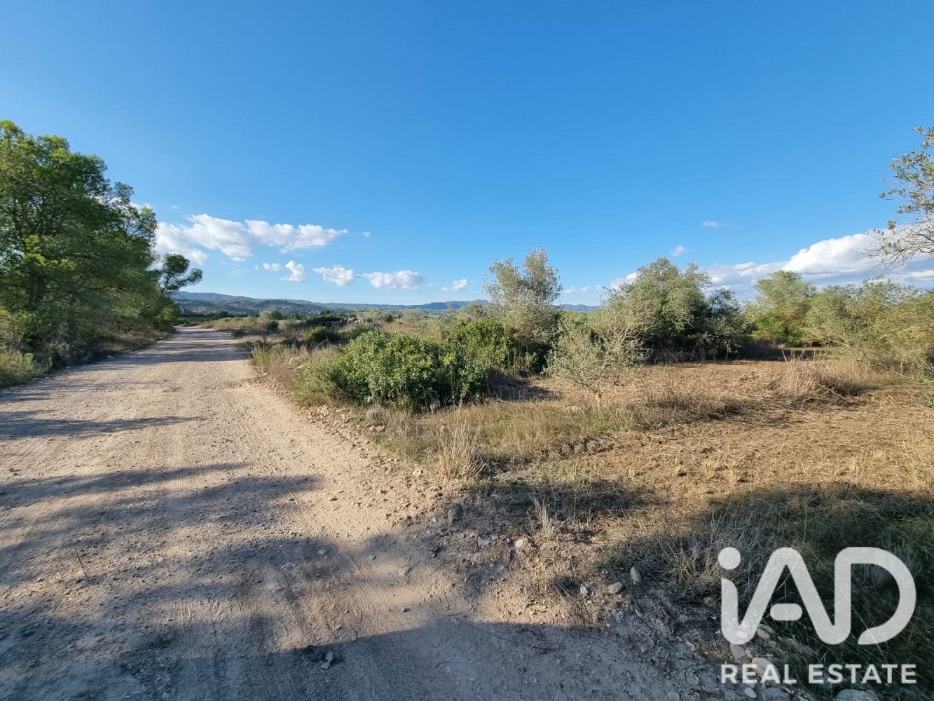 Land plot in Ginestar, Tarragona, Spain 22451 sq.m. No. 199522