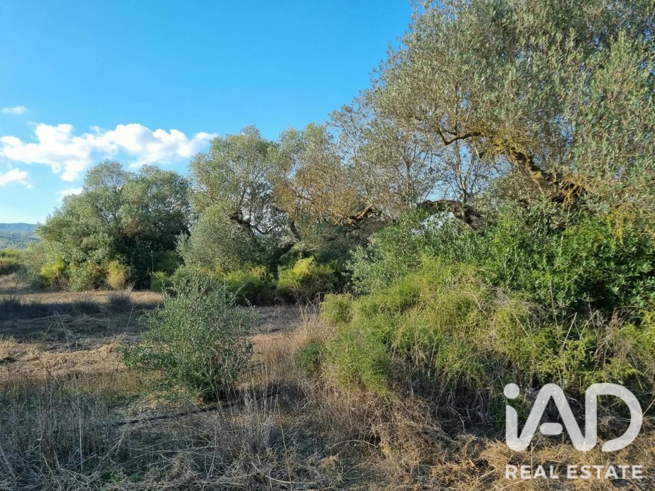 Land plot in Ginestar, Tarragona, Spain 22451 sq.m. No. 199522