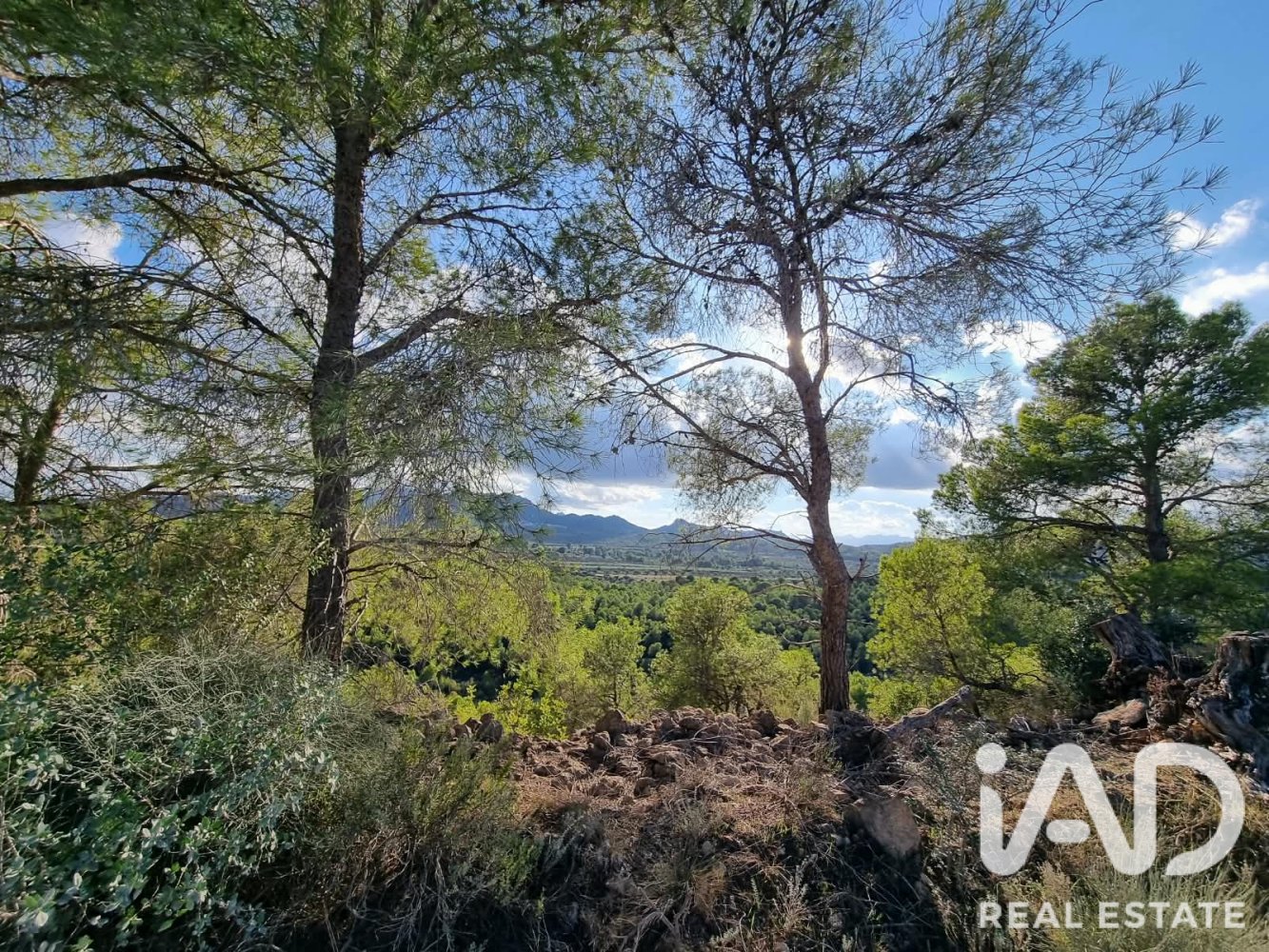 Land plot in Ginestar, Tarragona, Spain 22451 sq.m. No. 199522