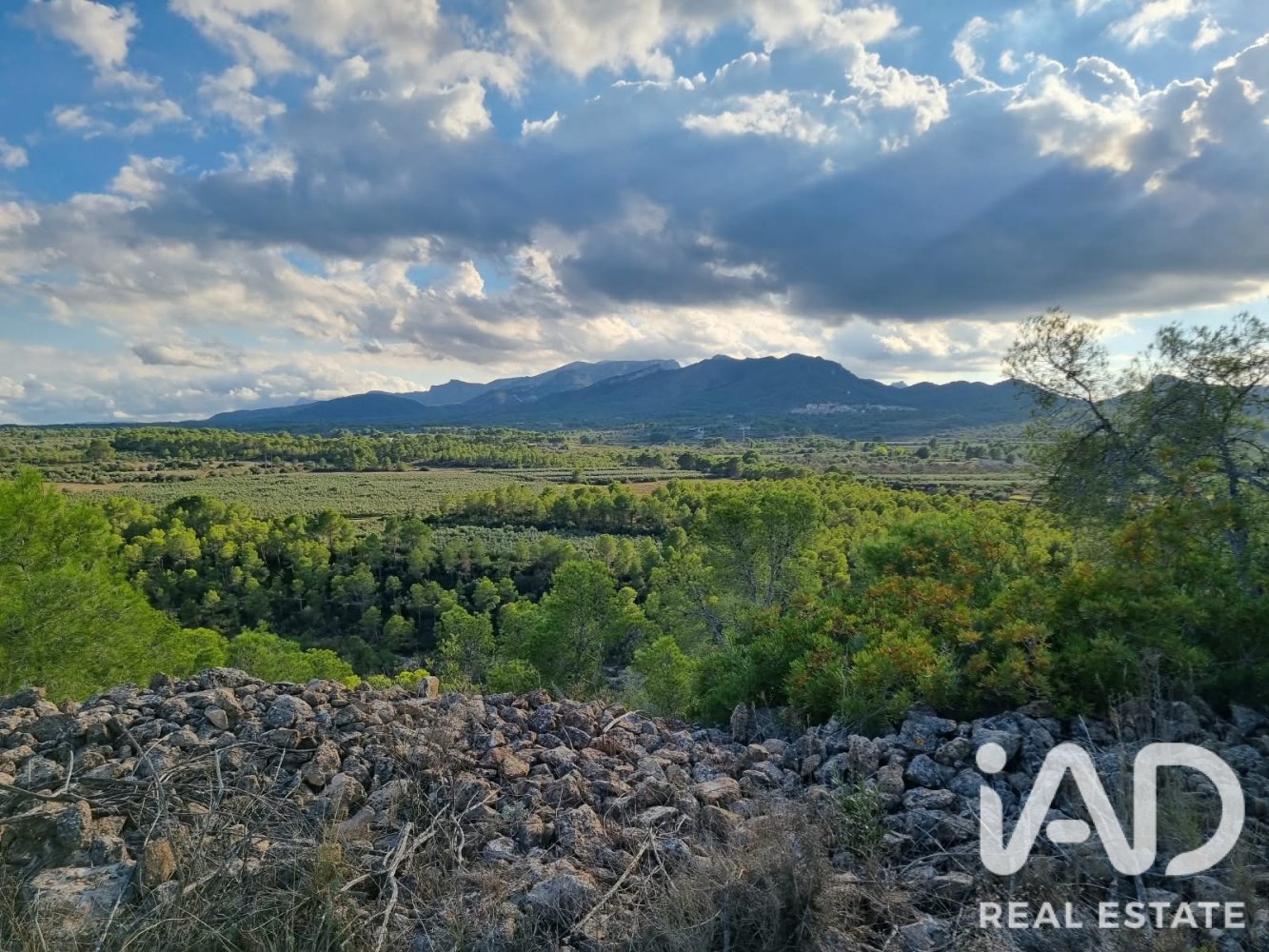 Land plot in Ginestar, Tarragona, Spain 22451 sq.m. No. 199522