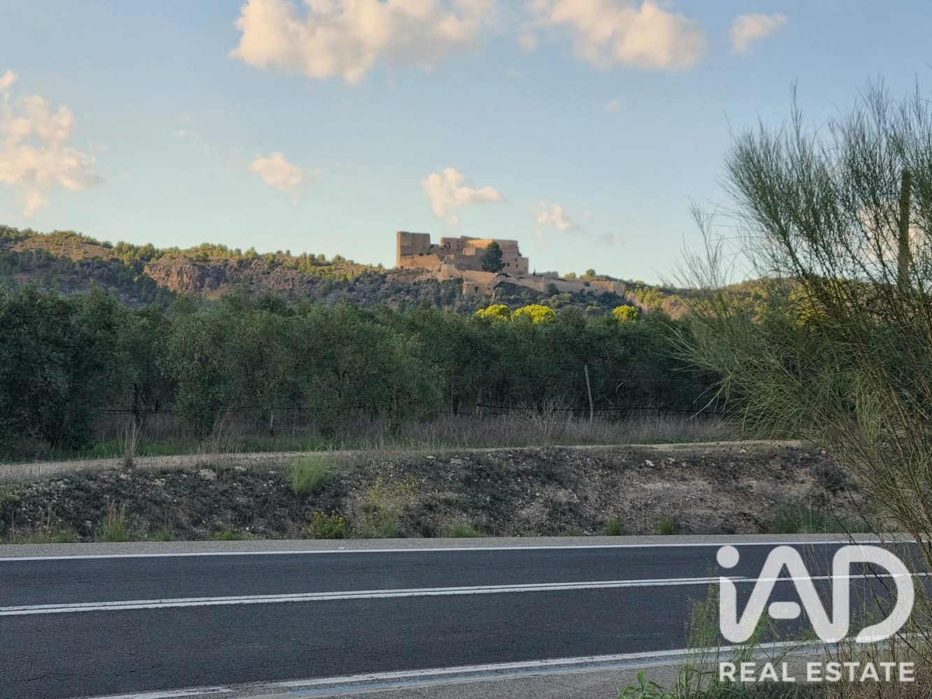 Land plot in Ginestar, Tarragona, Spain 22451 sq.m. No. 199522