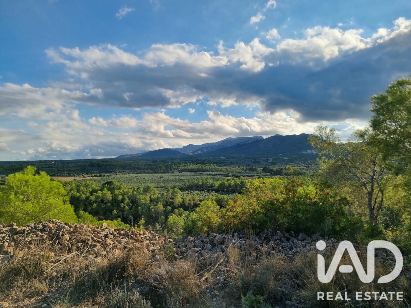 Land plot in Ginestar, Tarragona, Spain 22451 sq.m. No. 199522