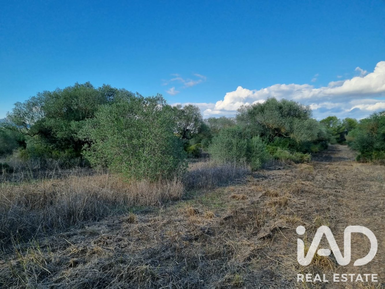 Land plot in Ginestar, Tarragona, Spain 22451 sq.m. No. 199522