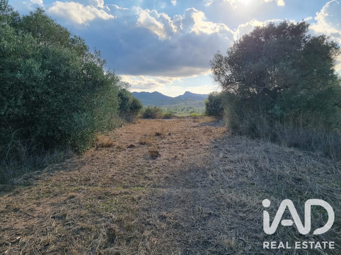 Land plot in Ginestar, Tarragona, Spain 22451 sq.m. No. 199522