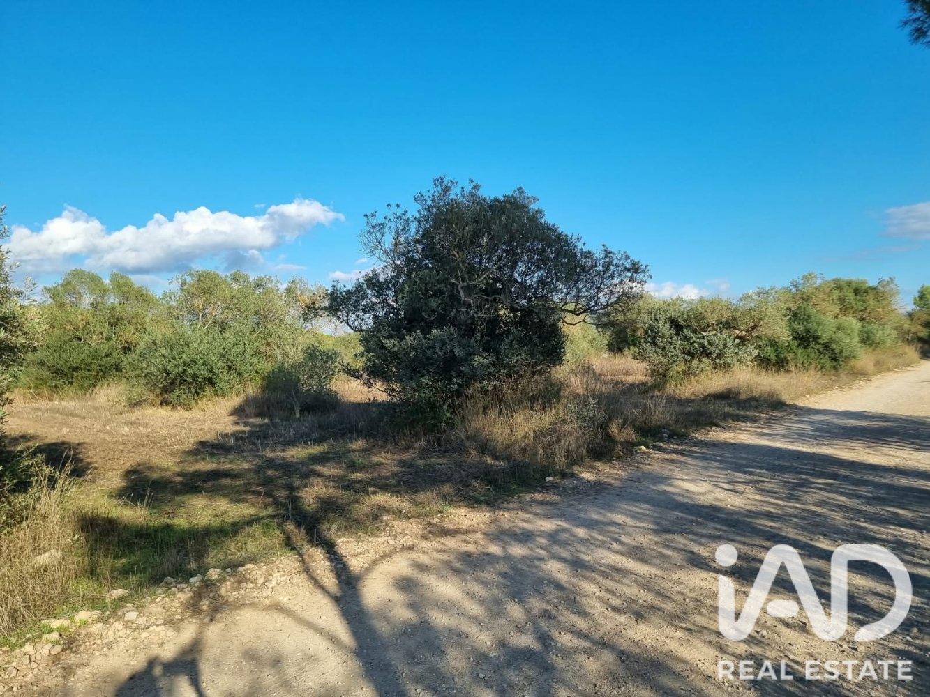 Land plot in Ginestar, Tarragona, Spain 22451 sq.m. No. 199522