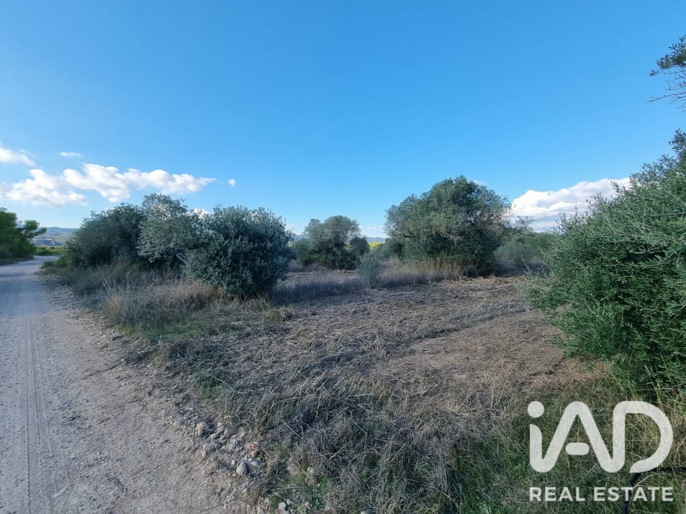 Land plot in Ginestar, Tarragona, Spain 22451 sq.m. No. 199522