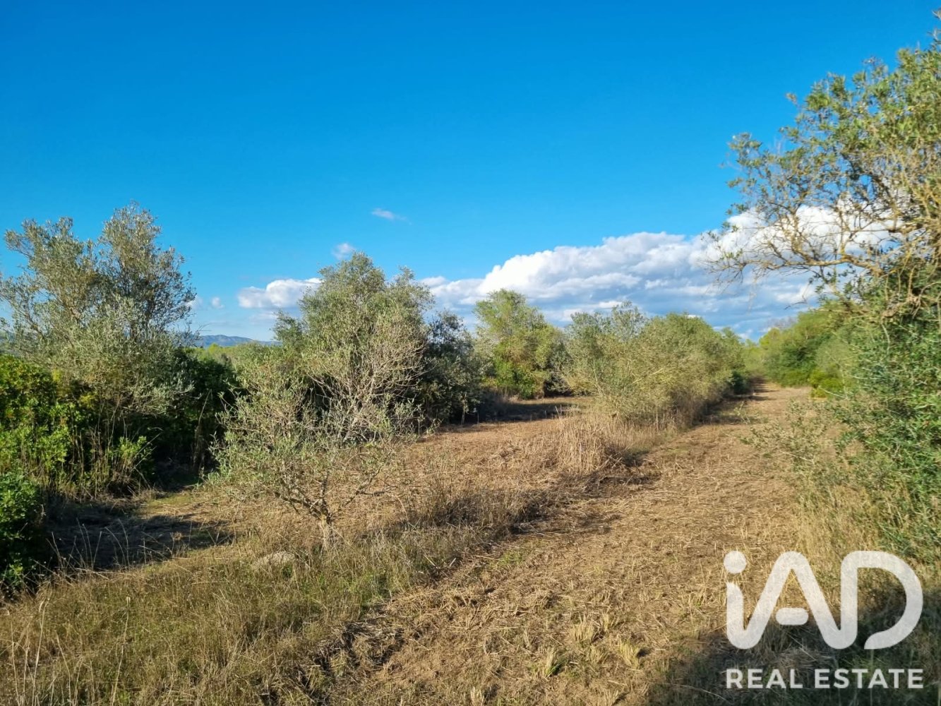Land plot in Ginestar, Tarragona, Spain 22451 sq.m. No. 199522