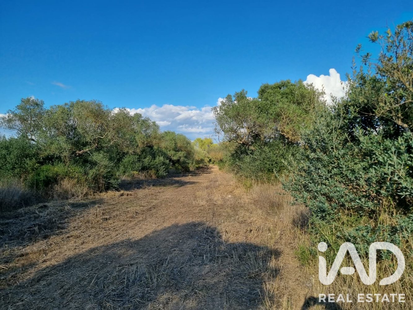 Land plot in Ginestar, Tarragona, Spain 22451 sq.m. No. 199522