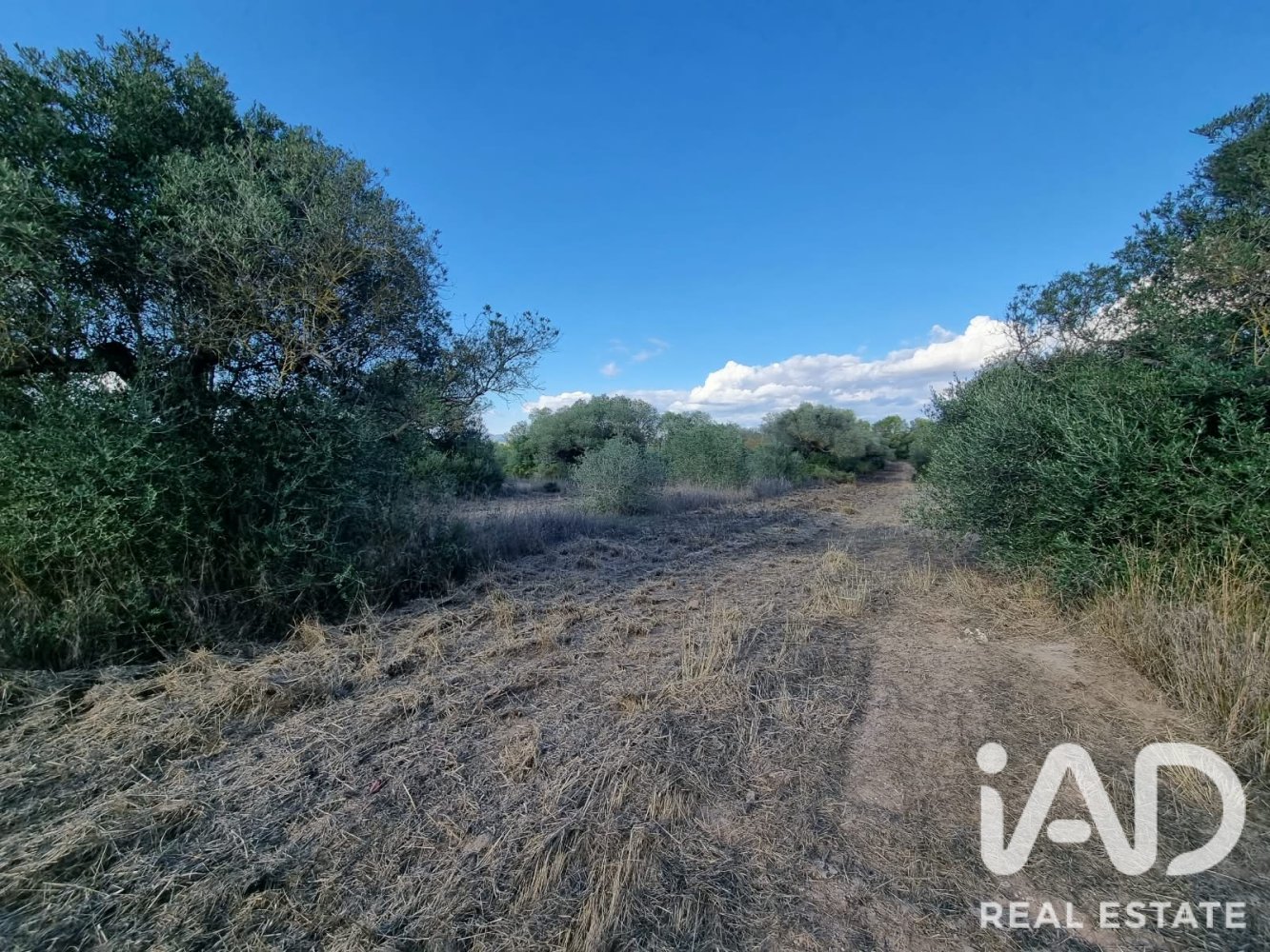 Land plot in Ginestar, Tarragona, Spain 22451 sq.m. No. 199522